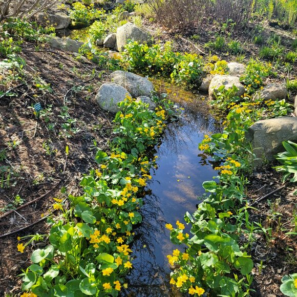 Meet your Posher, Maci - Picture 6 of 11